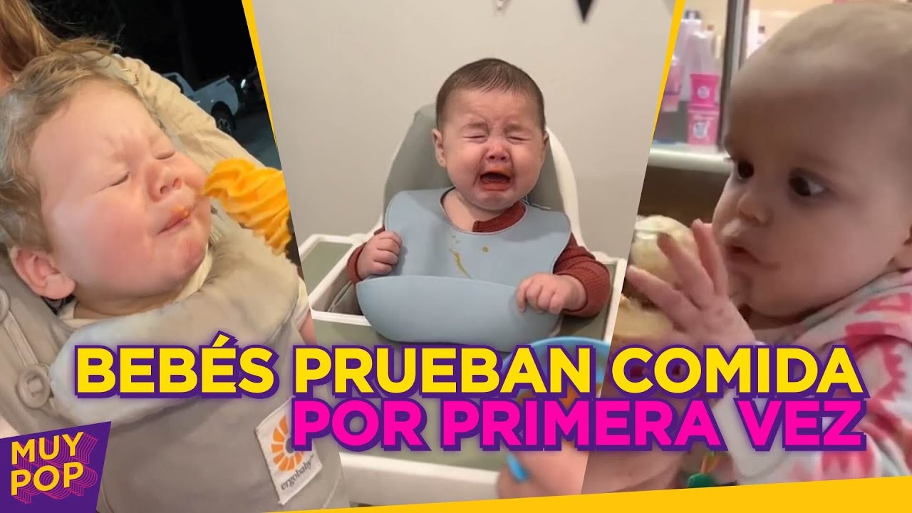 Bebés prueban comida por primera vez