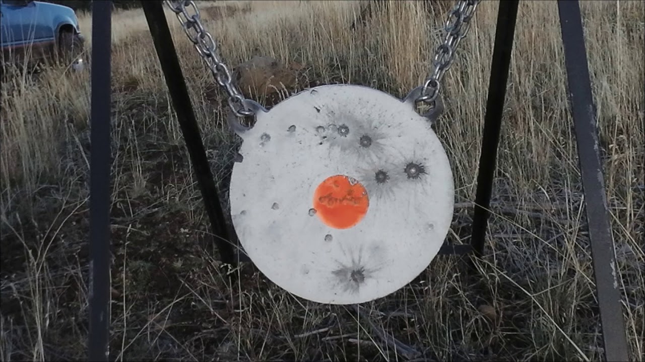 230 grain target practice take two