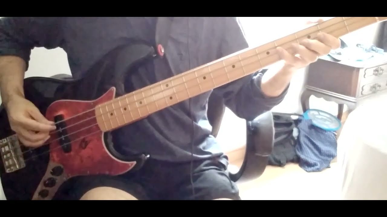 twin tribes  - heart and feather (BASS cover)