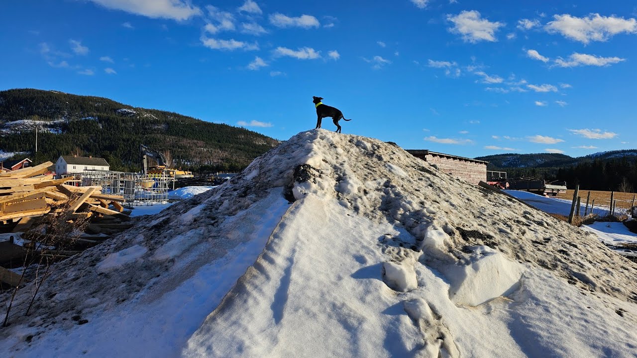 Trip to Norway in February 2026 - Day 4