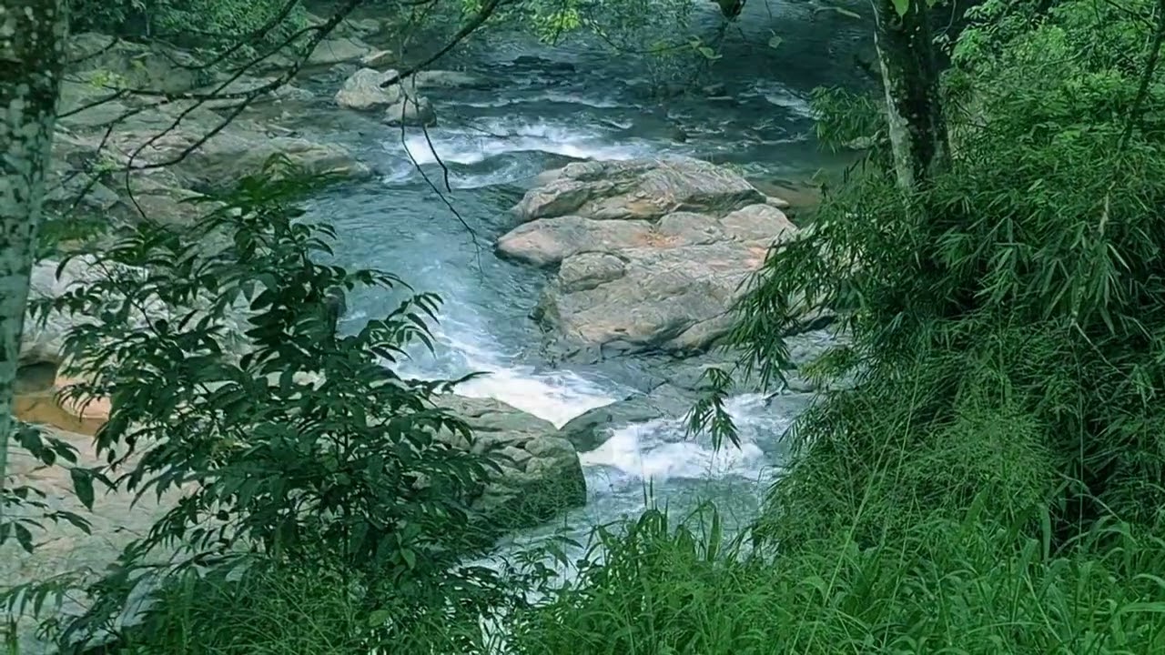 Relaxation Video | Sri Lanka | Sri Lanka Nature | Natural View Sri Lanka