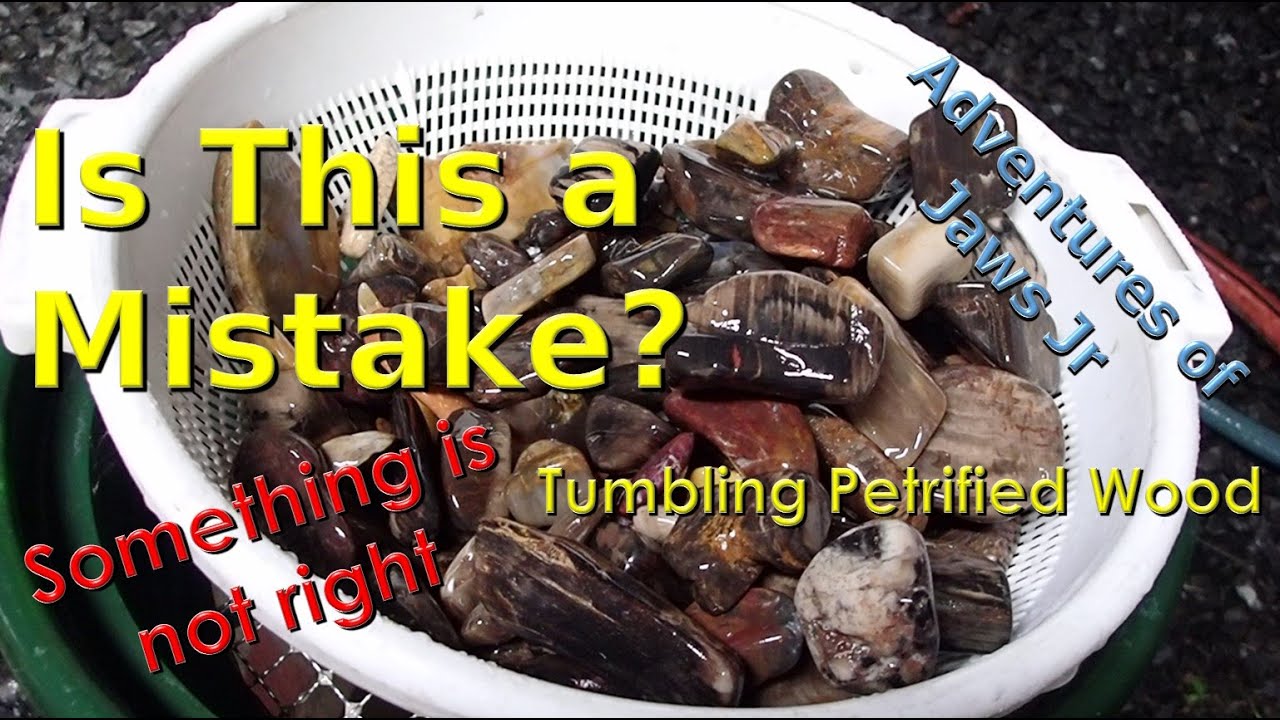 Is this a mistake?   Tumbling Petrified Wood, something is not right!  #thefinders