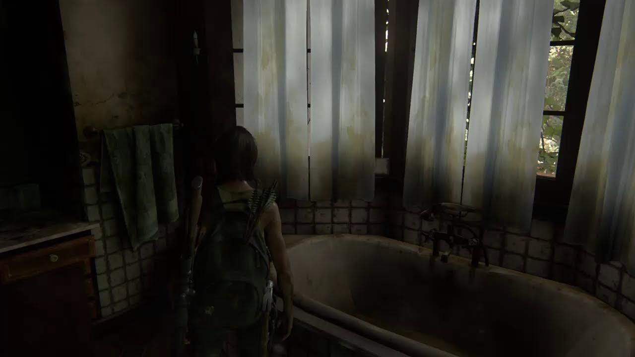 THE LAST OF US PARTE II