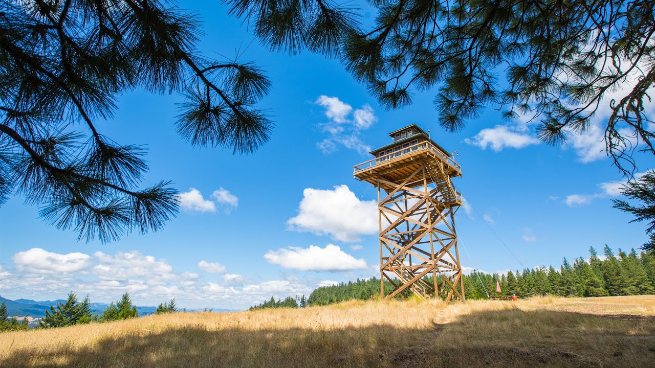 What Is A Fire Lookout? A Unique Tiny Home | Zillow