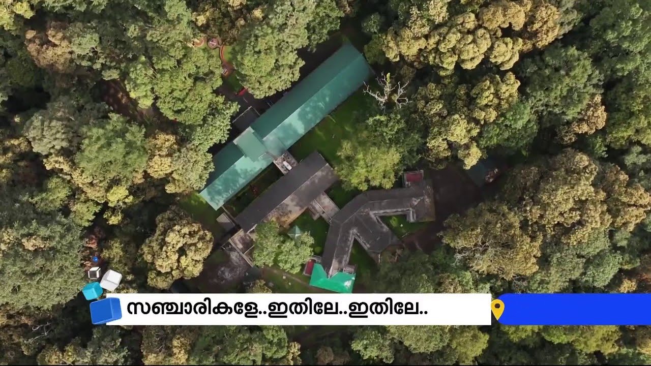 കിടിലൻ വൈബിൽ കാടിന് നടുവിൽ താമസിക്കാം; KTDCയുടെ പെരിയാർ ഹൗസ് | Kumily | Travel | Kerala Tourism