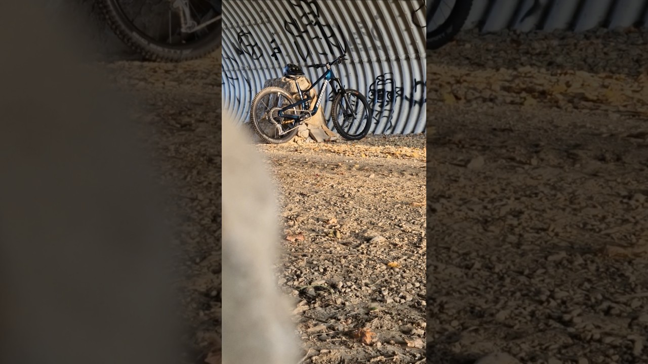 Propain tyee 6cf #mtb #autumn #mtb #viral #bike #beautiful