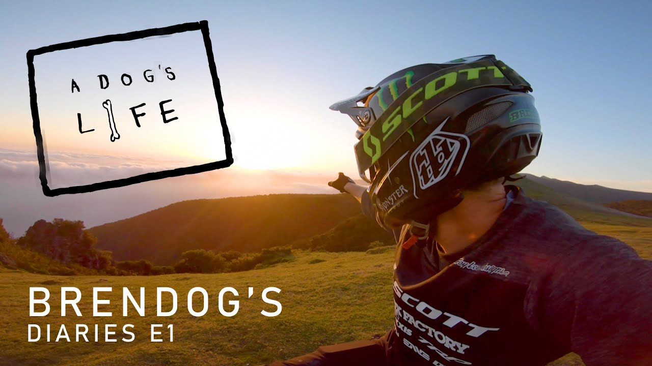 A DOGS LIFE DIARIES - S1E1 Madeira BRENDAN FAIRCLOUGH