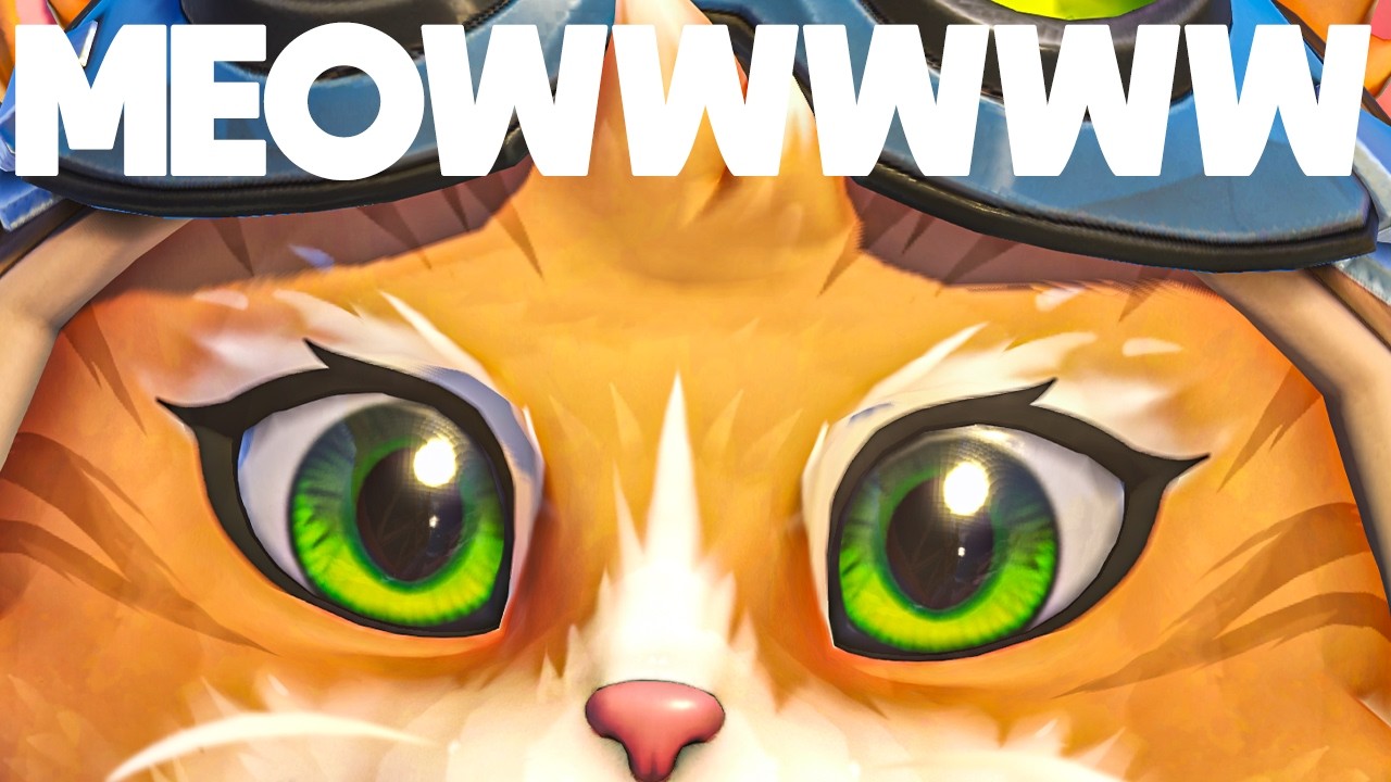 MEOW MEOW