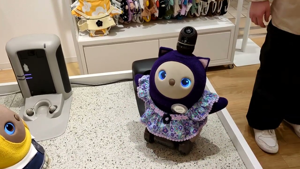 Lovot AI Robot Pet - Tokyo - Japan