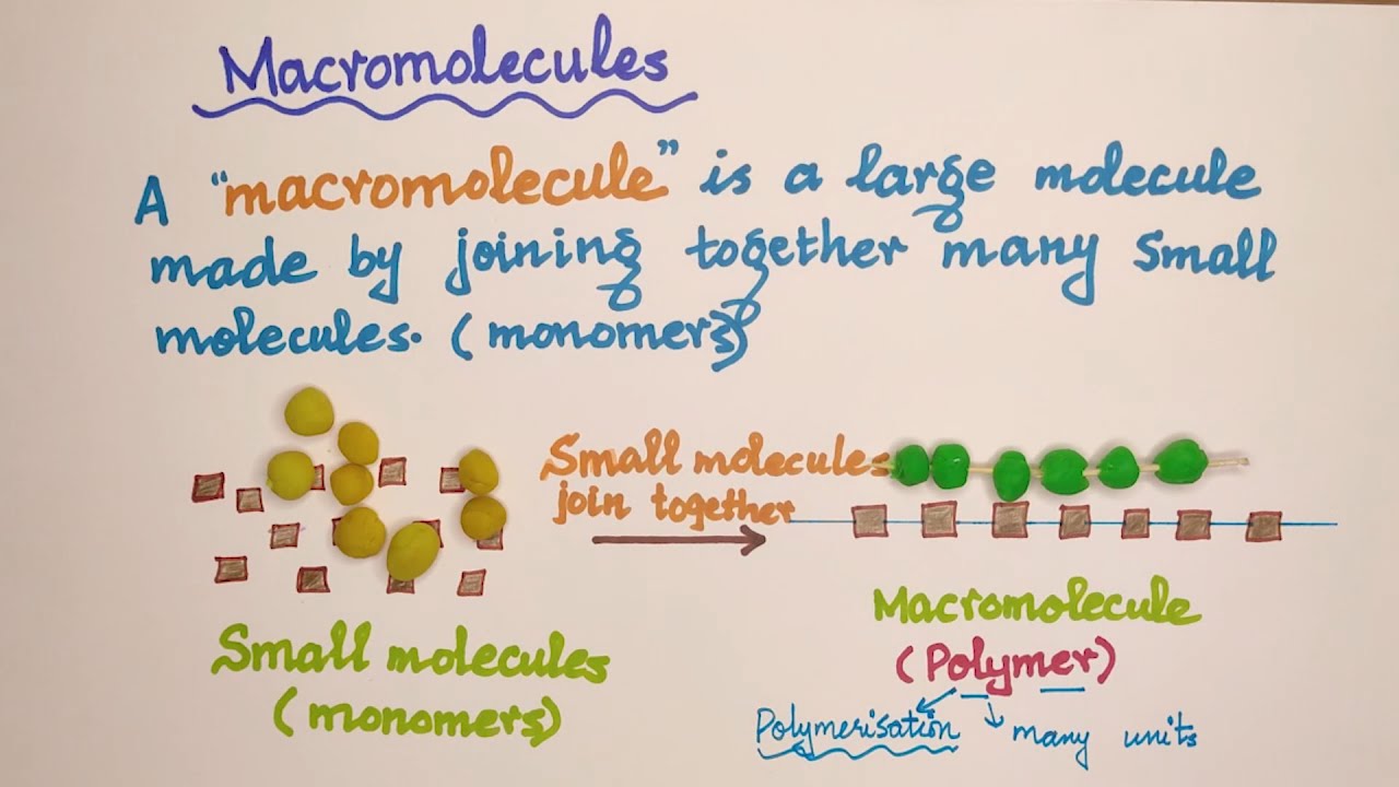 O level Chemistry - Organic Macromolecules/ Polymerization