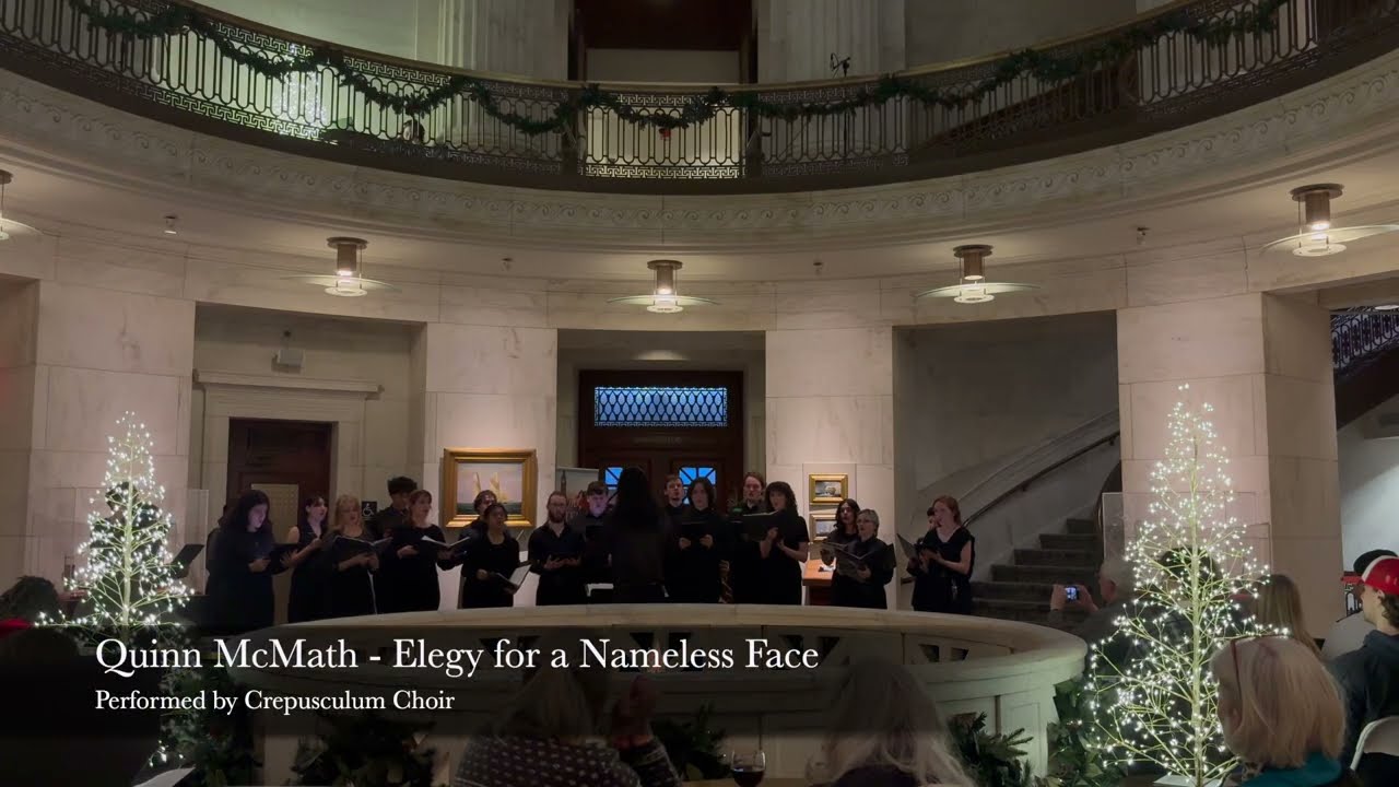 Elegy for a Nameless Face (by Quinn McMath)
