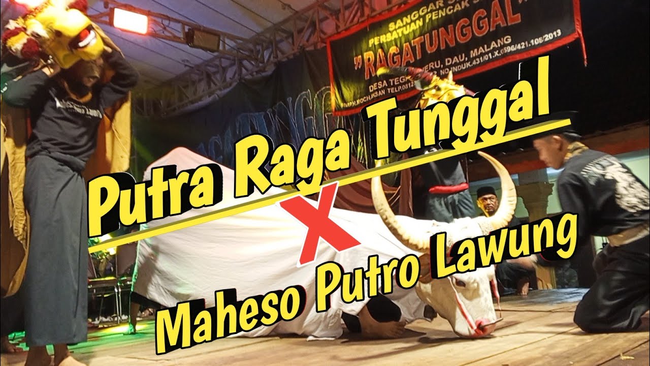 Maheso Putro lawung ❌ putra Raga tunggal LIVE kalisongo Dau Malang 