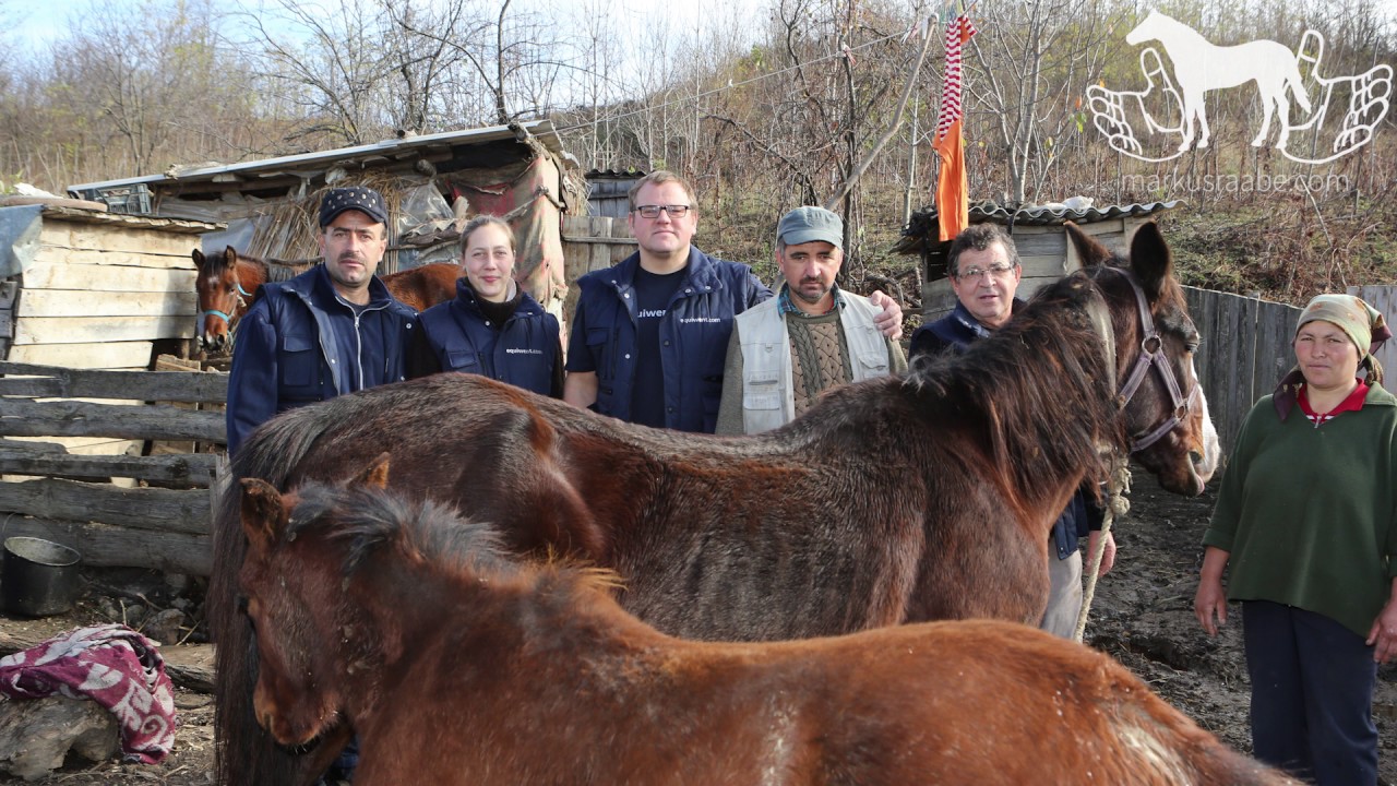 Markus Raabe Hufschmied - EQUITANA  Equiwent - Hilferuf für Pferde Ostoeupas