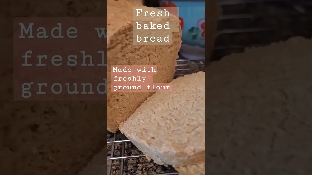 Homemade bread using wheat berries. 
