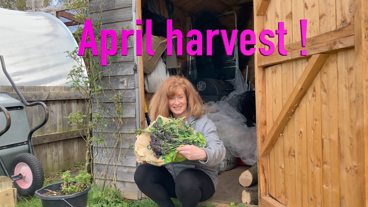 How amazing , a harvest in April !  Happy Easter !