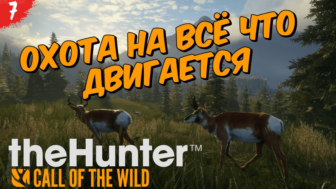 theHunter Call of the Wild #7 - Бизоны,индейки,вилороги - Серебряные вершины - Свободная охота