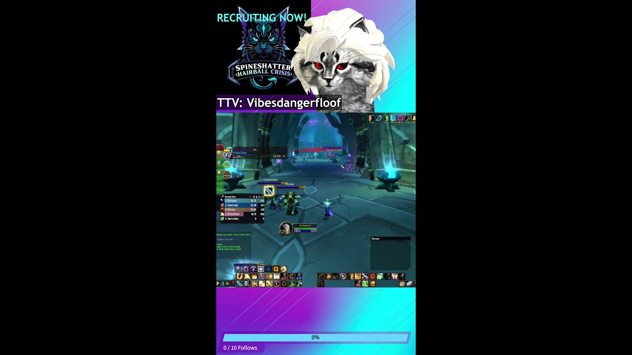 WOW TBC - PALADIN PRE RAID GEARING - REP FARMING