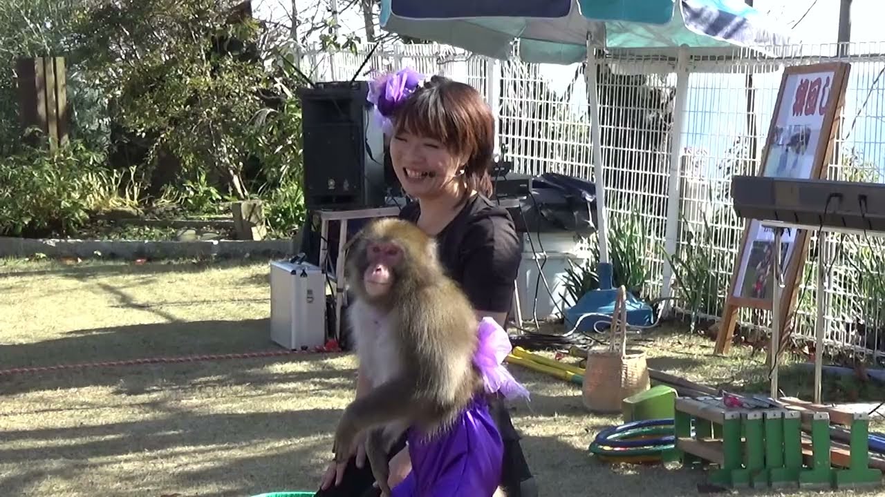 まい先生