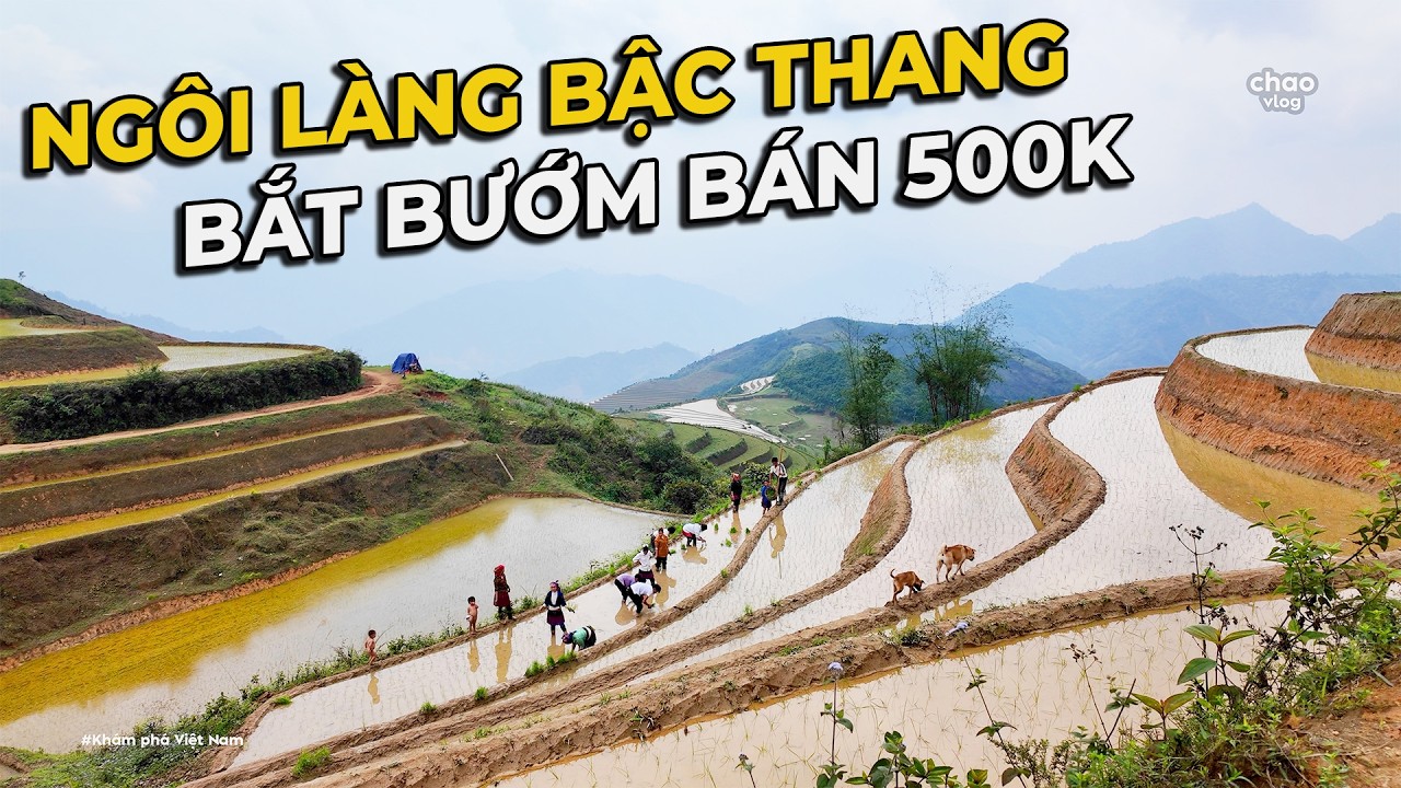 Những Chuyện Lạ Lẫm Ở Ngôi Làng Trên Đỉnh Đồi Bướm Cũng Kiếm Ra Tiền..??
