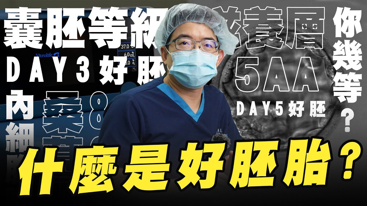 必看! 什麼是好胚胎?你胚胎分數多少? #胚胎等級｜台中大新婦產科診所 生殖中心