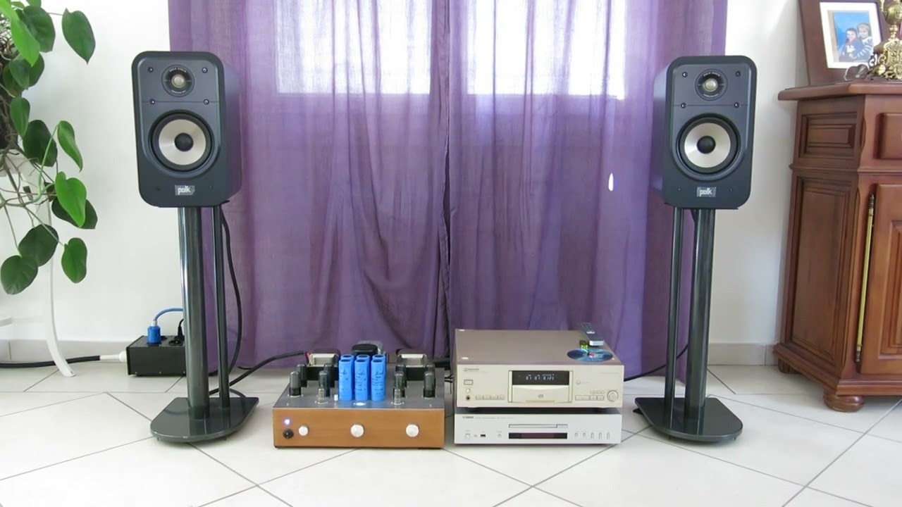 Polk Signature elite ES20 (#polk)