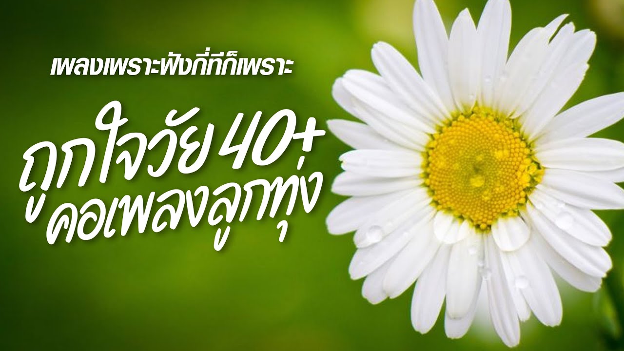 เพลงเพราะฟังกี่ทีก็เพราะถูกใจวัย40+คอเพลงลูกทุ่ง