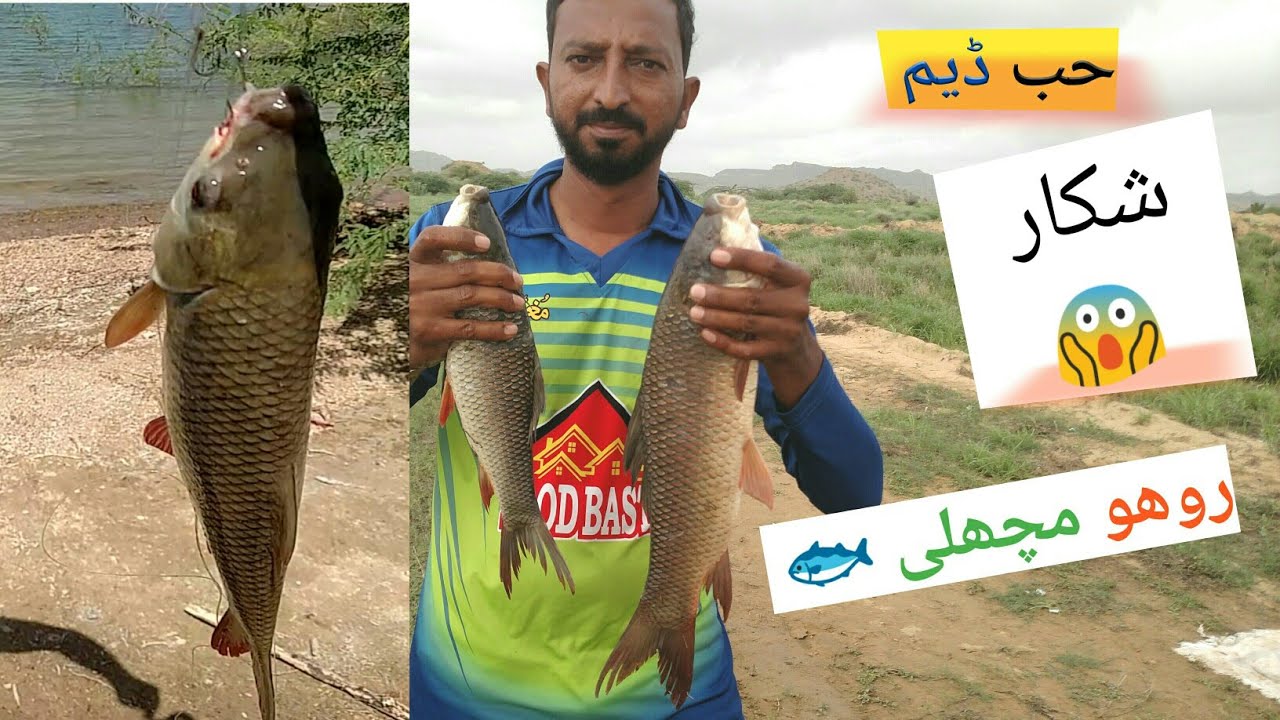 Unlock Hub Dam's Hidden Treasures: Rohu Fishes Catching Secrets Revealed, #hubdam