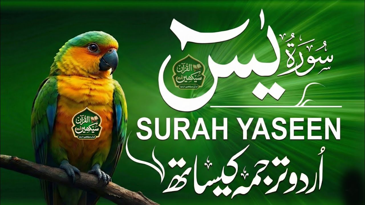 Surah Yasin Full with Urdu & Hindi Translation | Heart of Quran | سورة يس | Qari Mansoor Ghzanavi