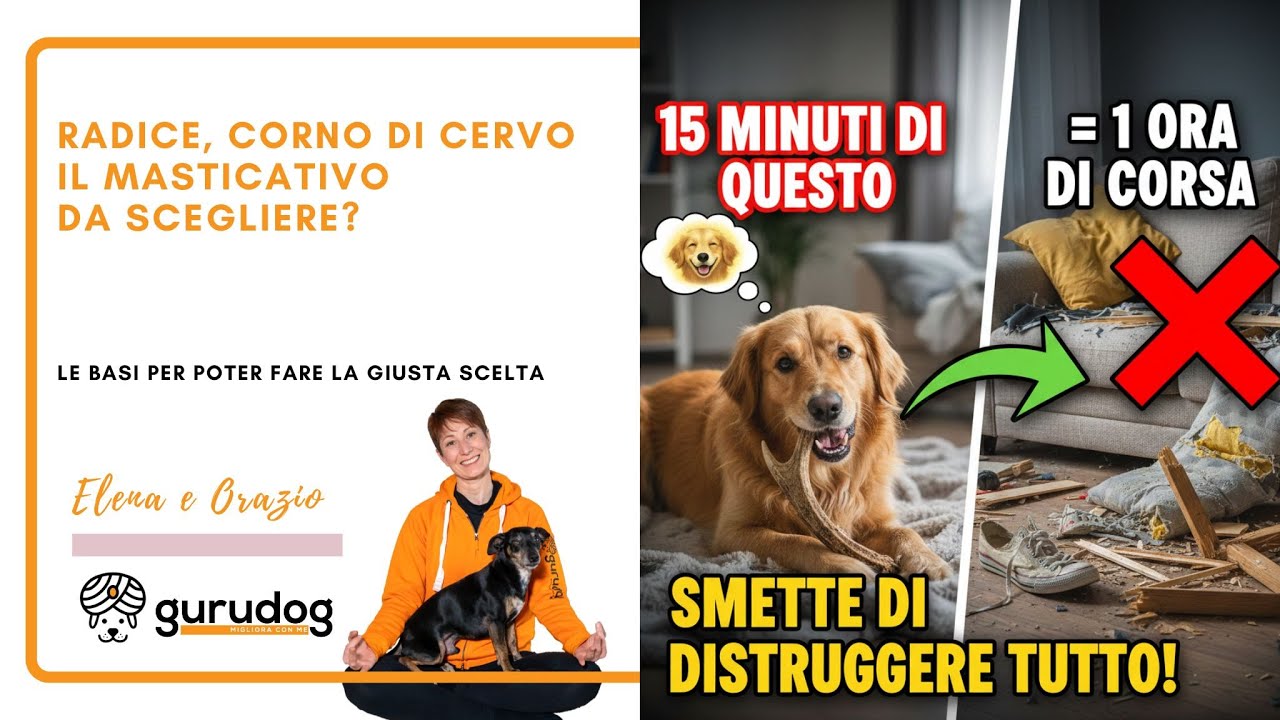 Come scegliere la masticazione naturale per il tuo cane
