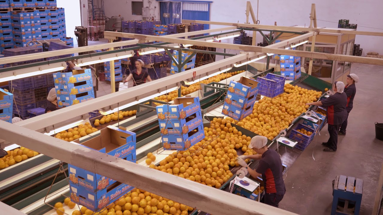 Frutas Rubio S&aacute;nchez - V&iacute;deo Corporativo