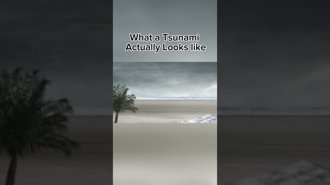 What a Tsunami Actually Looks Like🔥 #fyp #tsunami #hawaii