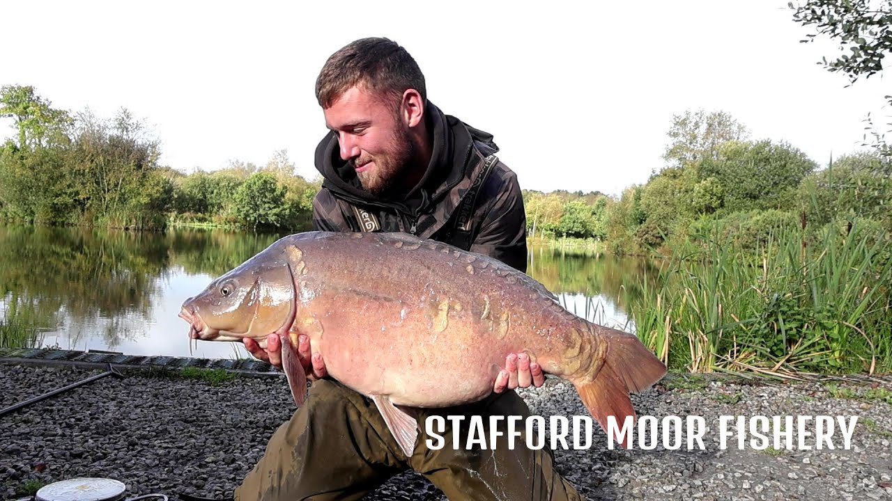 How To Catch A UK 30IB Carp from Lodge Lake Stafford Moor Fishery