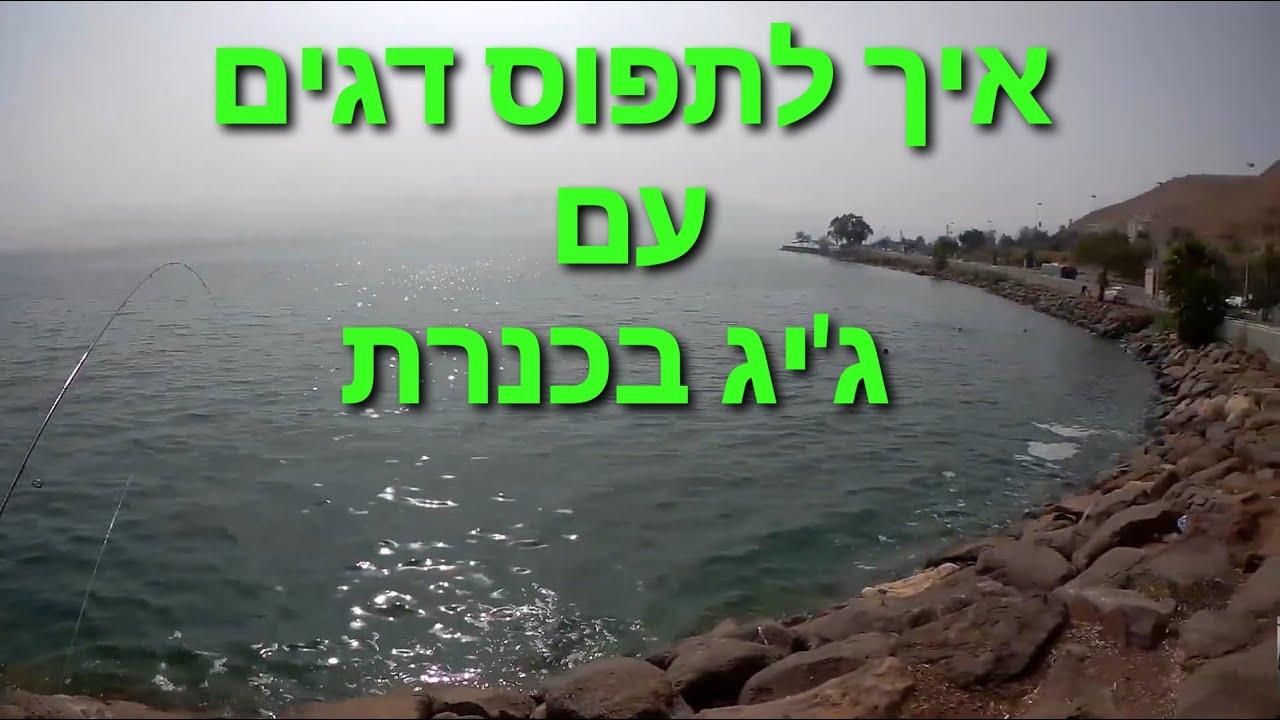 איך  לעבוד עם גיג בכנרת|דיג בכנרת| fishing tips with jig