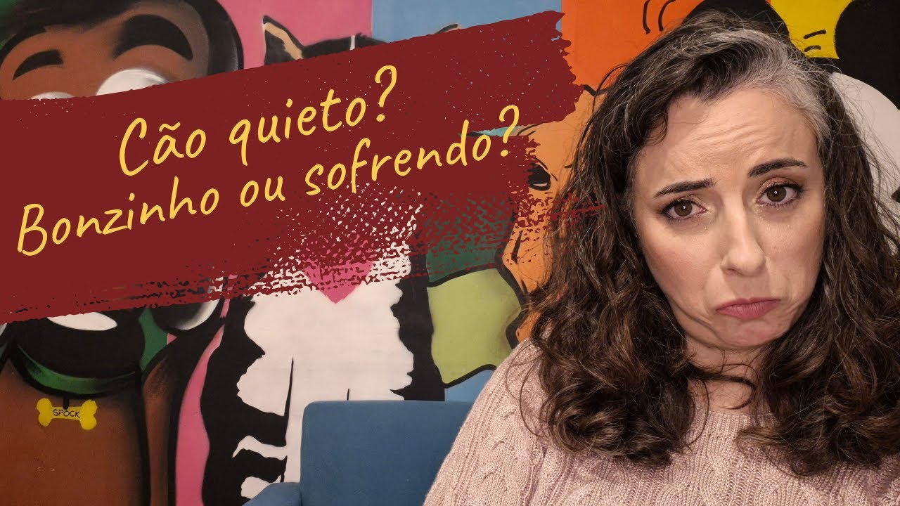 Cachorro quietinho sozinho: bonzinho ou sofrendo?