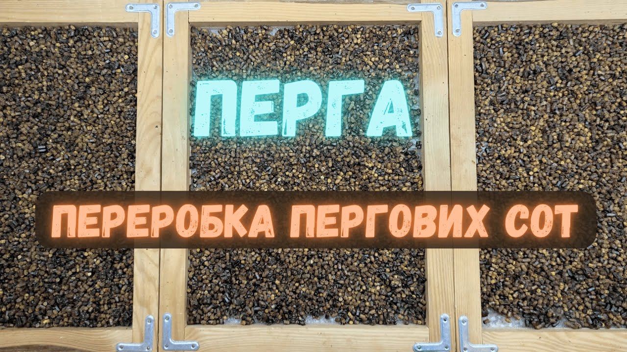 Перга. Переробка пергових сот. Як добути пергу з пергових сот?