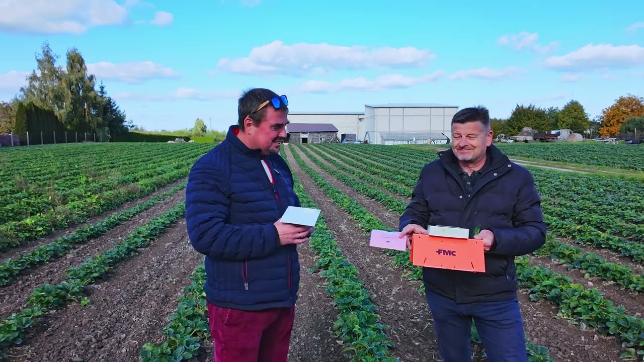 Nowoczesne narzędzia do monitoringu kwieciaka malinowca