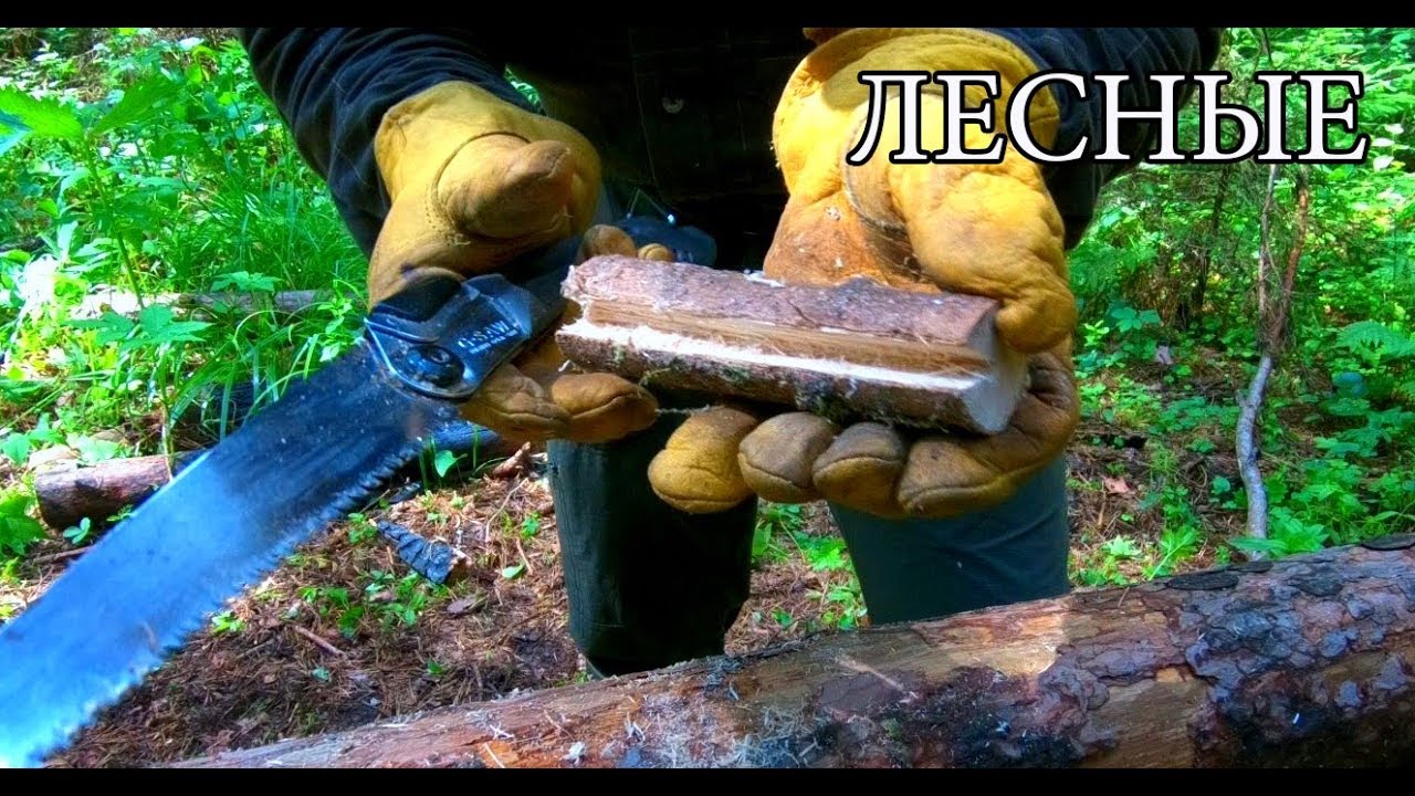7 ПРОСТЫХ СОВЕТОВ ДЛЯ ЛЕСА | 7 BUSHCRAFT TIPS