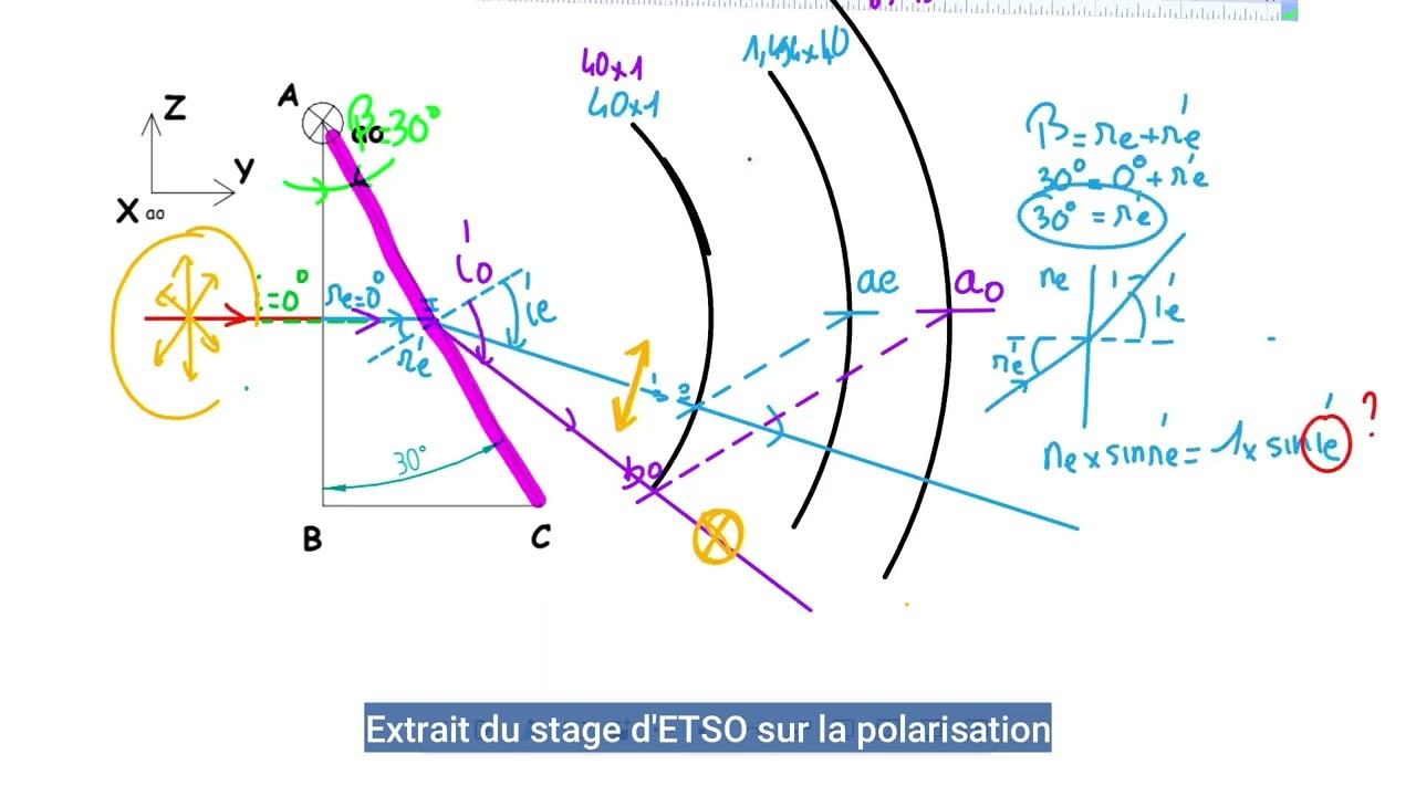 Stage OG Polarisation BTS Opticien Lunetier