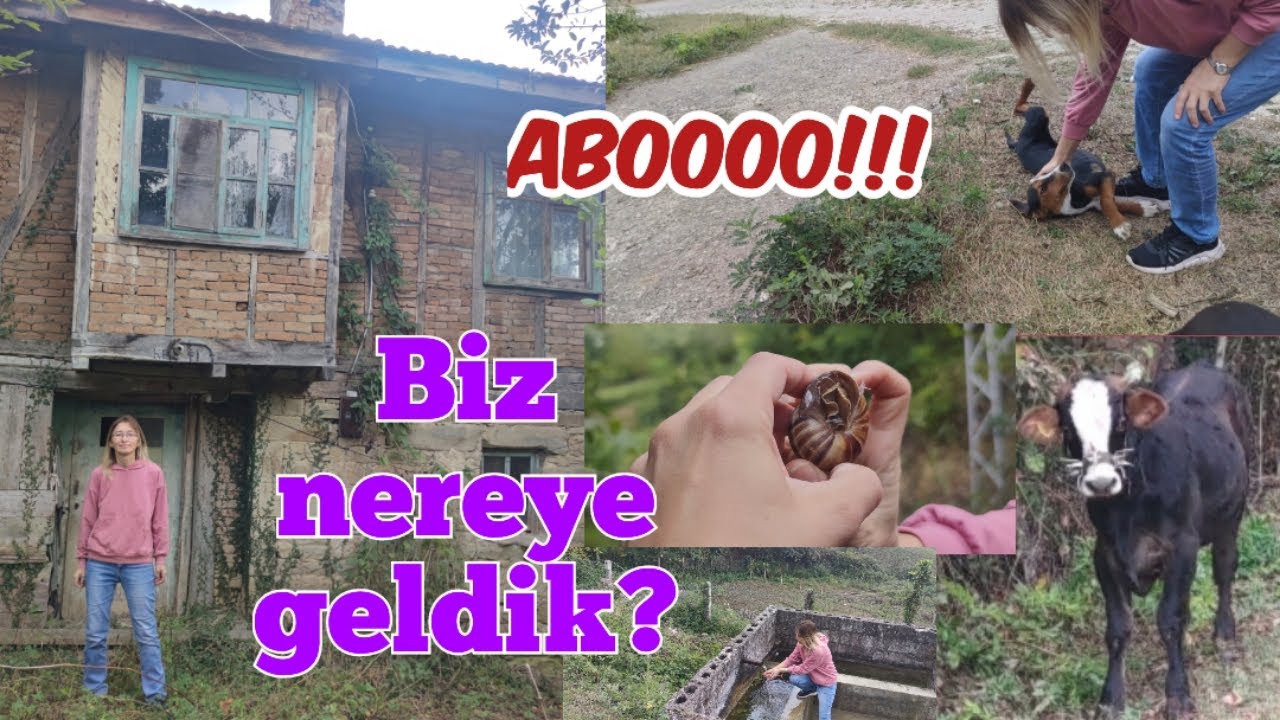 KÖYÜM KÖYÜM GÜZEL KÖYÜM/DEVREK EVEYİKLİ KÖYÜ#köy#köyhayatı#köydeyaşam #köyde#doğal#devrek#zonguldak