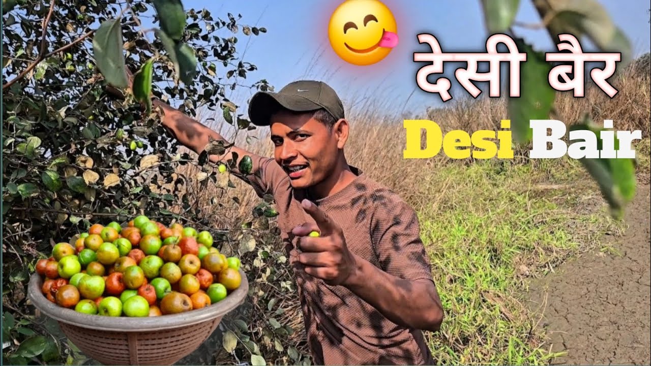 Desi Bair | Apne Gaav Ka Desi Bair Ka Maja Lete Huye😋 | Village Vlog