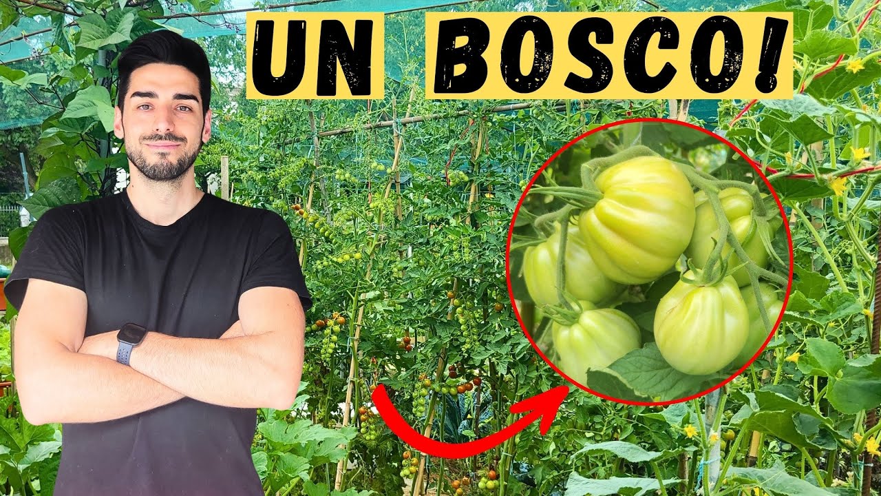 TOUR COMPLETO del Nostro ORTO a LUGLIO (30mq di IDEE!)