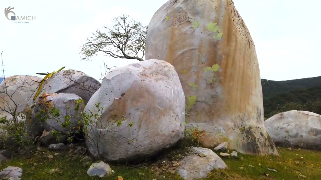 EL TEPAME El Limón Jalisco