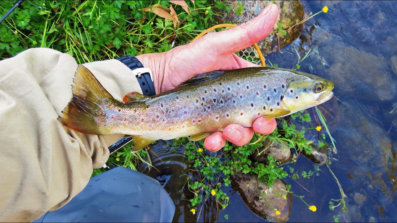 '3 from 3', good spin session.