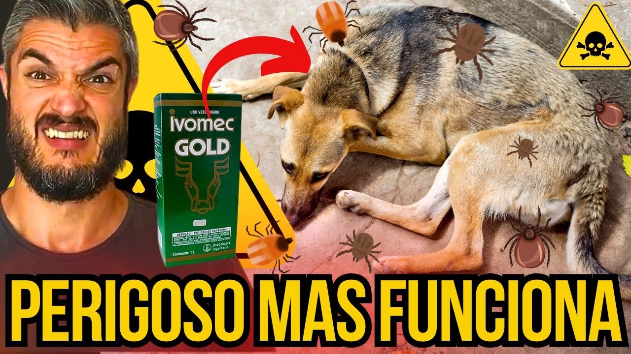 PODE DAR IVOMEC P  CACHORRO Remédio Barato IVERMECTINA P  CÃES CURA SARNA E ELIMINA CARRAPATOS CÃES