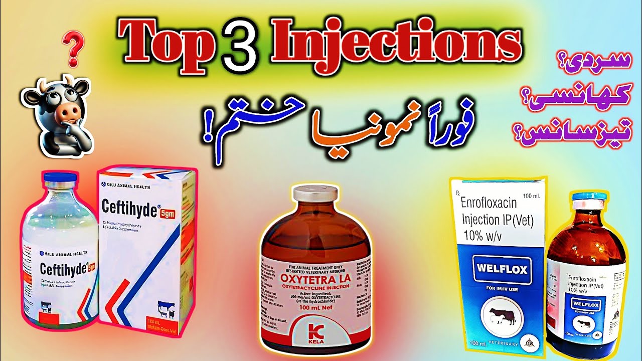 TOP 3 Powerful Injections | Pneumonia Treatment In Cattle, Goat, Buffalos 