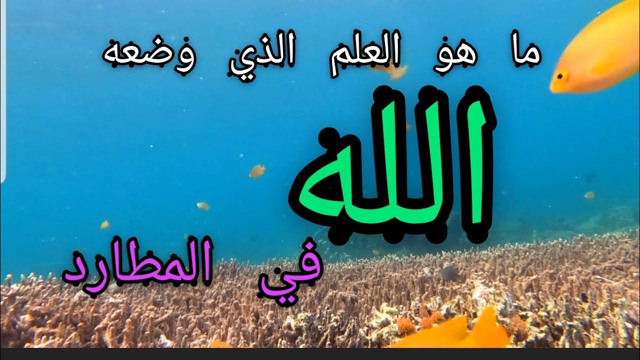 ما هو العلم اللي ربنا خصص بيه المطارد🤔؟