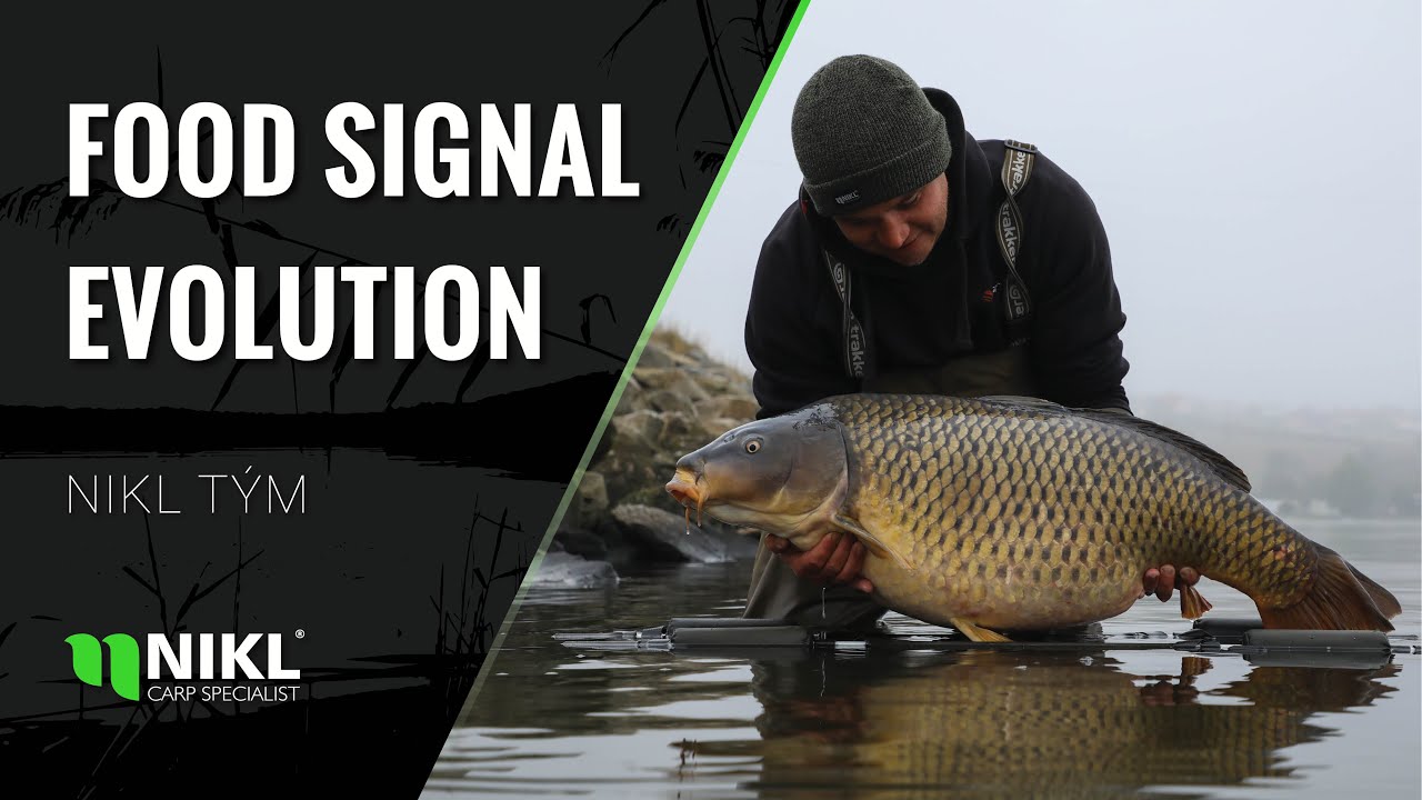 Nikl Ready bojli Food Signal Evolution