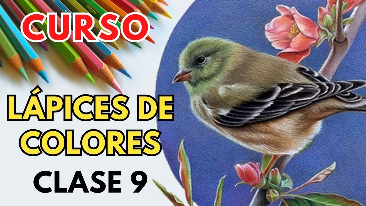 Clase 9: PANCITA 🐦 🎨 - Curso de Ilustración