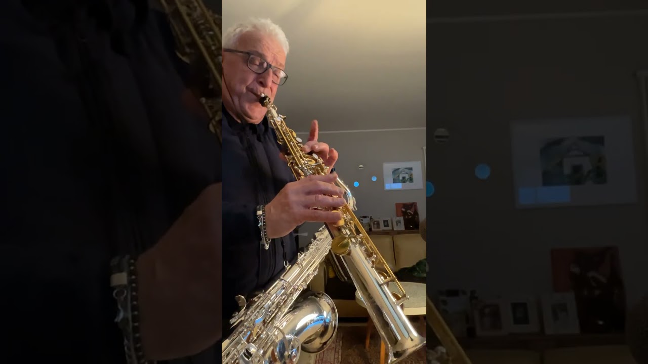 Il Padrino Theme (Parla più Piano) Sax Vittorio Traversa 