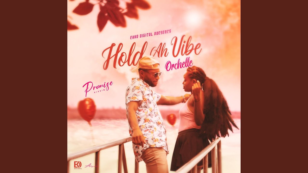 Hold Ah Vibe (Promise Riddim)